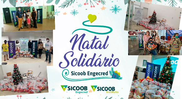 Campanha Natal Solidário arrecada mais de 4 toneladas de alimentos – Sicoob  Engecred